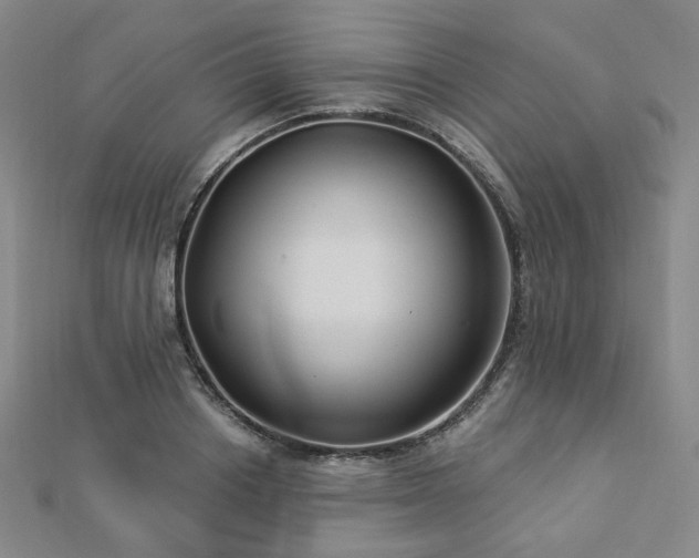 X0000112890842200908211452