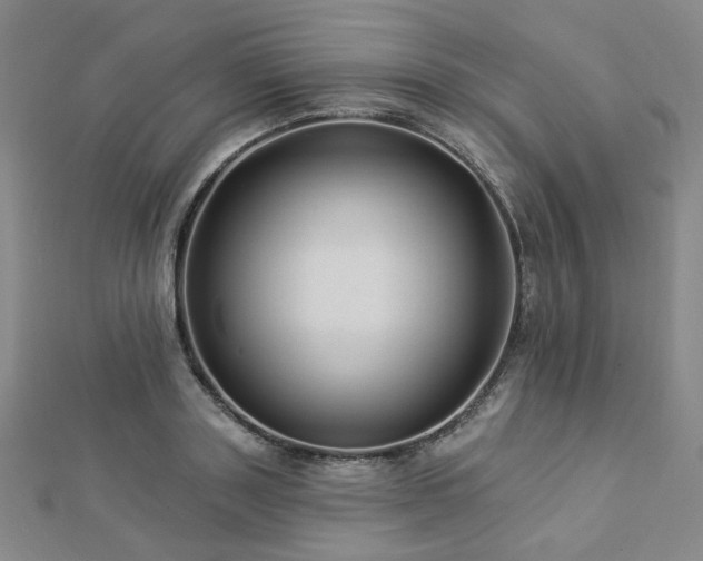 X0000112890843200908211452