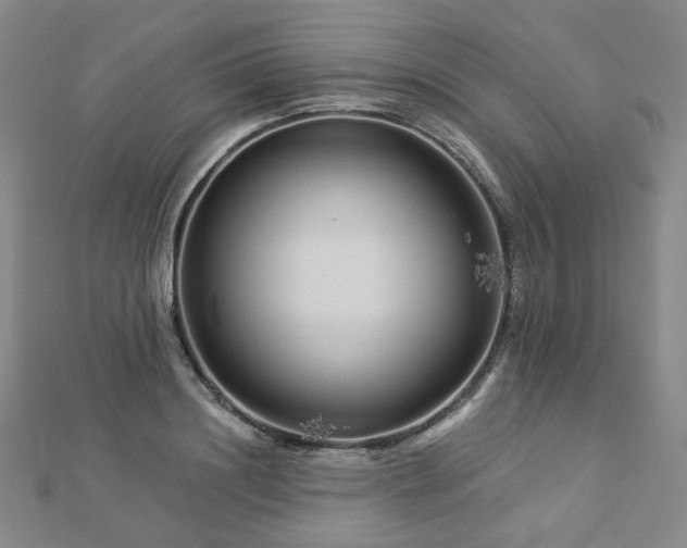X0000112890844200908211452