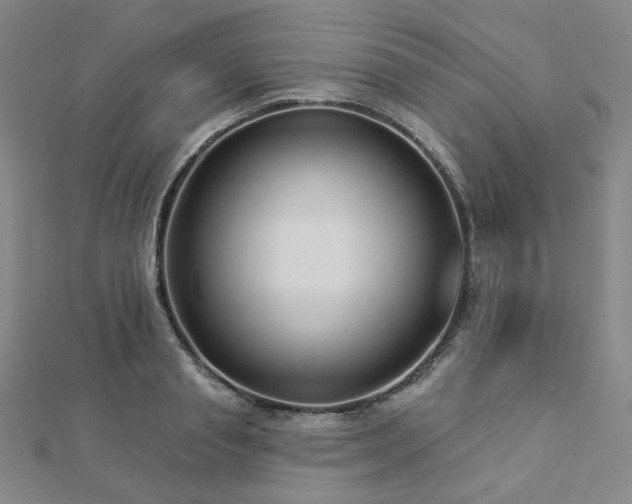 X0000112890845200908211452