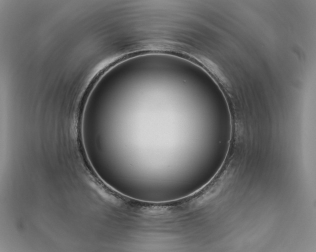 X0000112890846200908211452