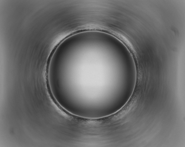 X0000112890847200908211452