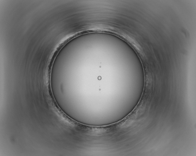 X0000112890848200908211452