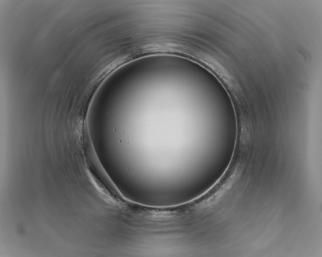 X0000112890849200908211452