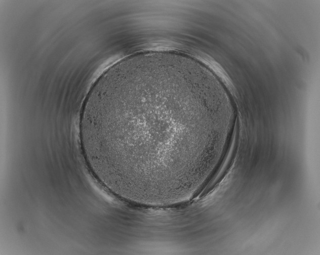 X0000112890850200908211452