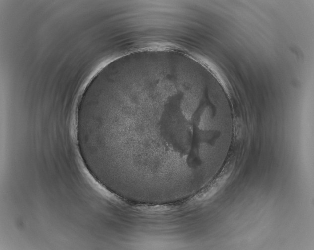 X0000112890851200908211452