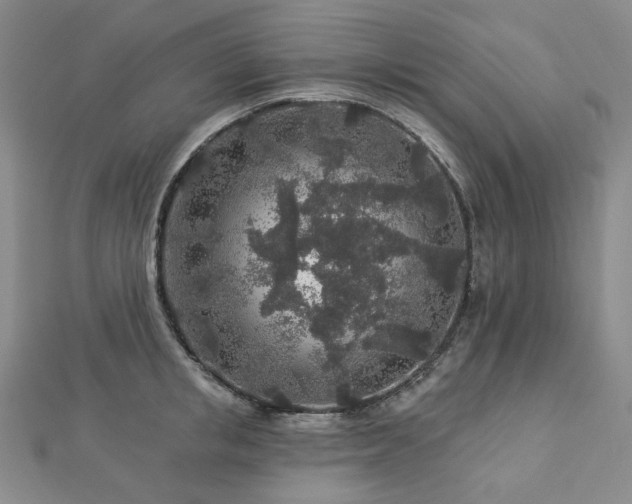 X0000112890853200908211452