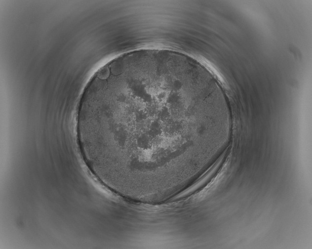 X0000112890854200908211452