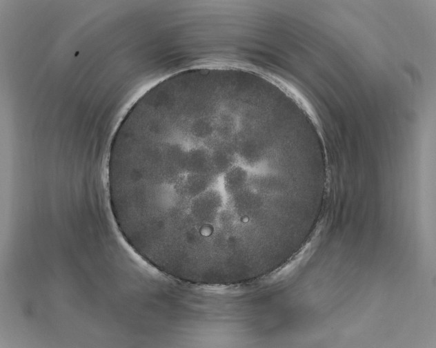 X0000112890855200908211452