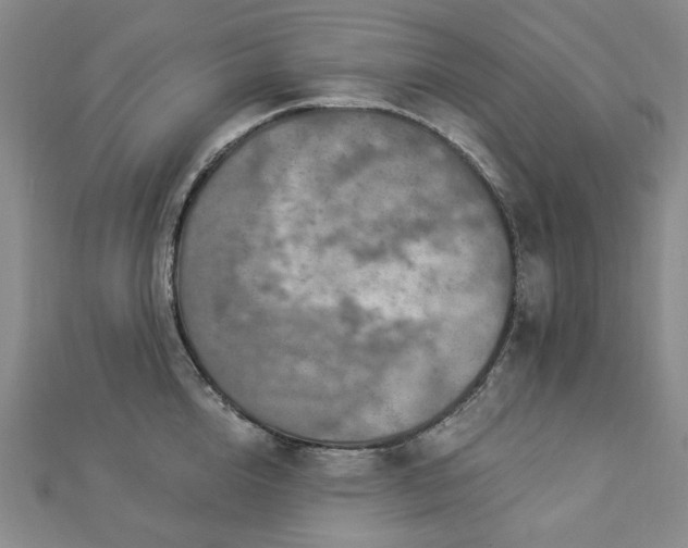 X0000112890856200908211452