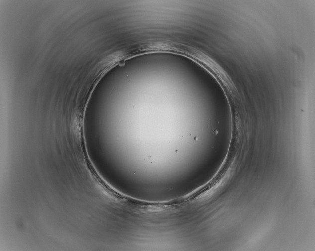 X0000112890857200908211452