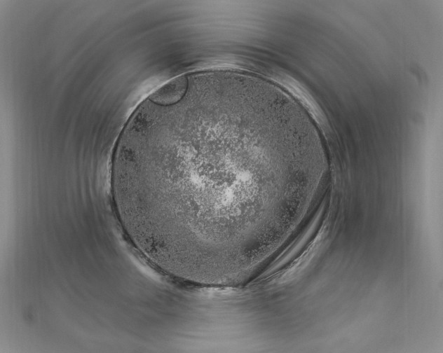 X0000112890858200908211452