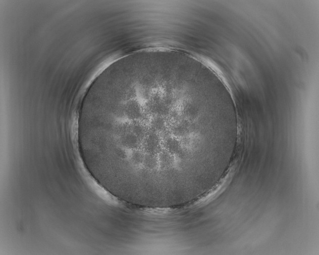 X0000112890859200908211452