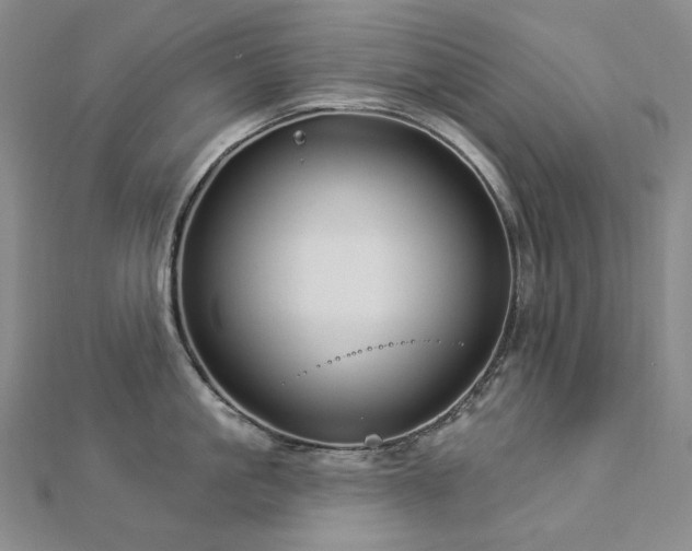 X0000112890861200908211452