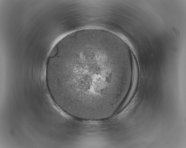 X0000112890862200908211452