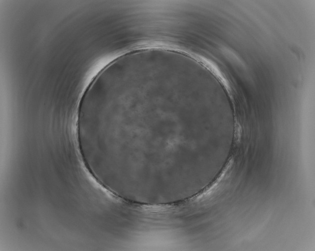 X0000112890863200908211452