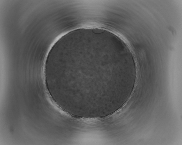 X0000112890864200908211452