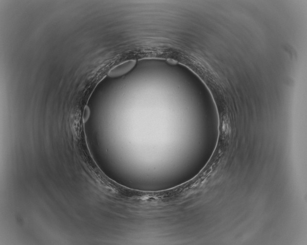 X0000112890867200908211451