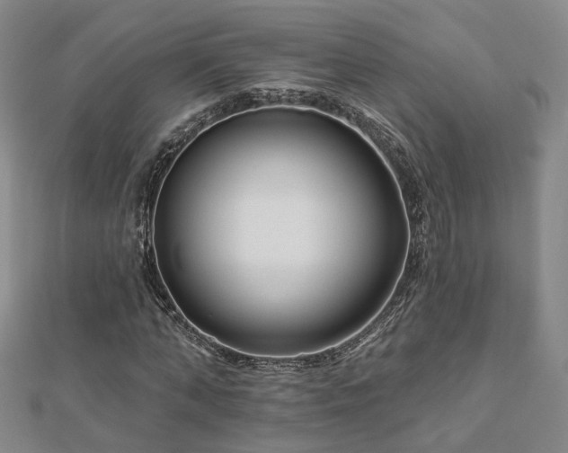 X0000112890870200908211451