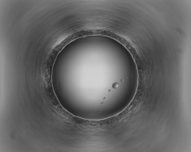X0000112890871200908211451