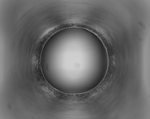 X0000112890872200908211451