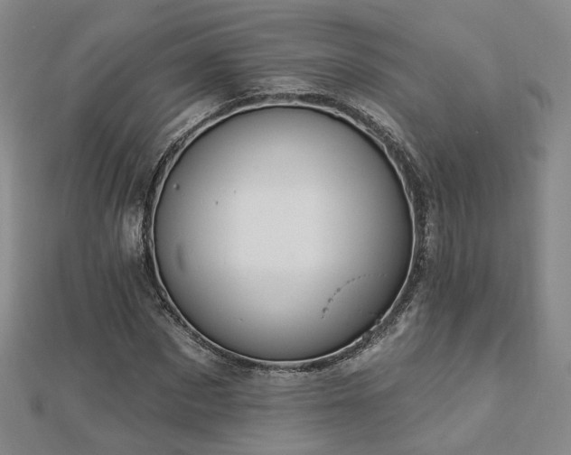 X0000112890873200908211451