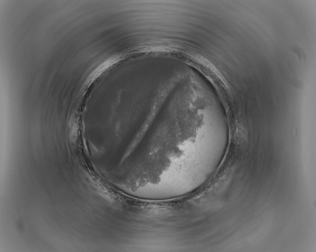 X0000112890874200908211451