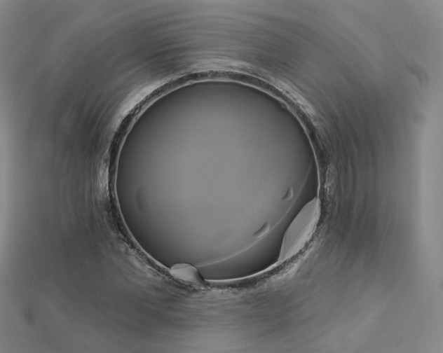 X0000112890877200908211451