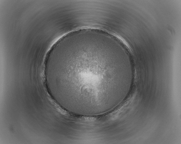 X0000112890878200908211451