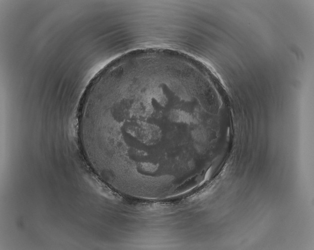 X0000112890879200908211451