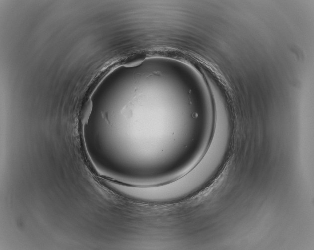 X0000112890881200908211451