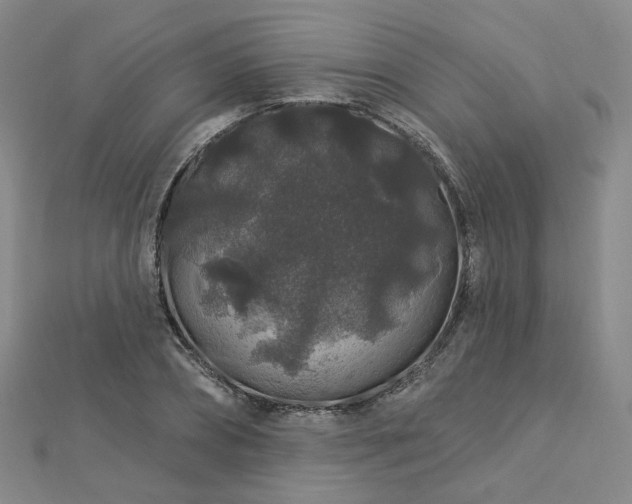 X0000112890882200908211451