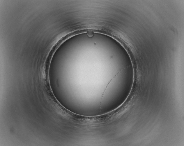 X0000112890883200908211451