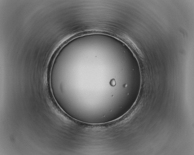 X0000112890884200908211451