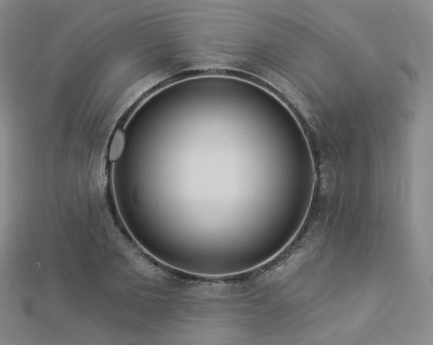 X0000112890885200908211451