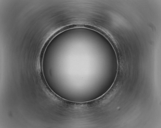 X0000112890887200908211451