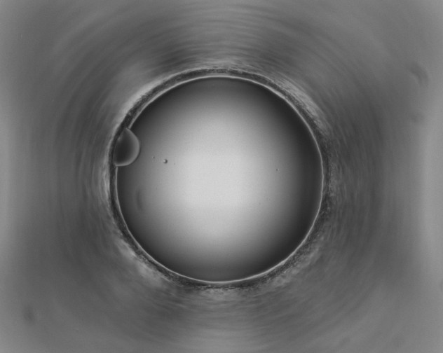 X0000112890888200908211451