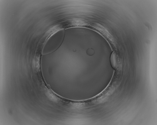 X0000112890889200908211451