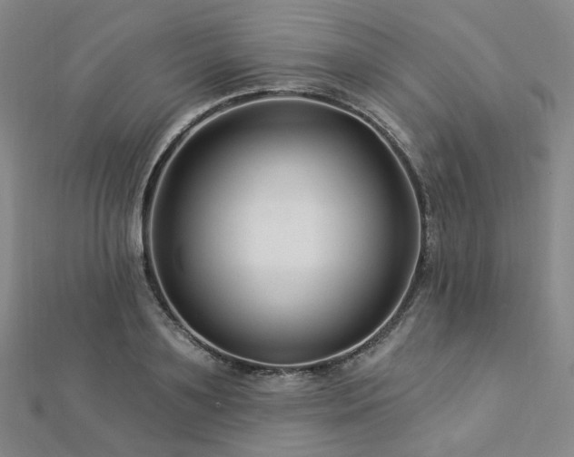 X0000112890891200908211451