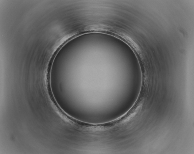 X0000112890893200908211451