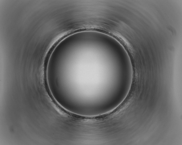X0000112890894200908211451