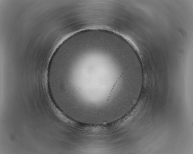 X0000112890895200908211451