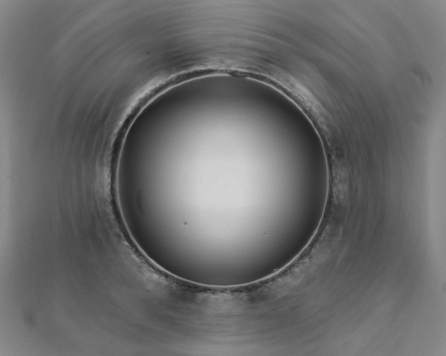 X0000112890896200908211451