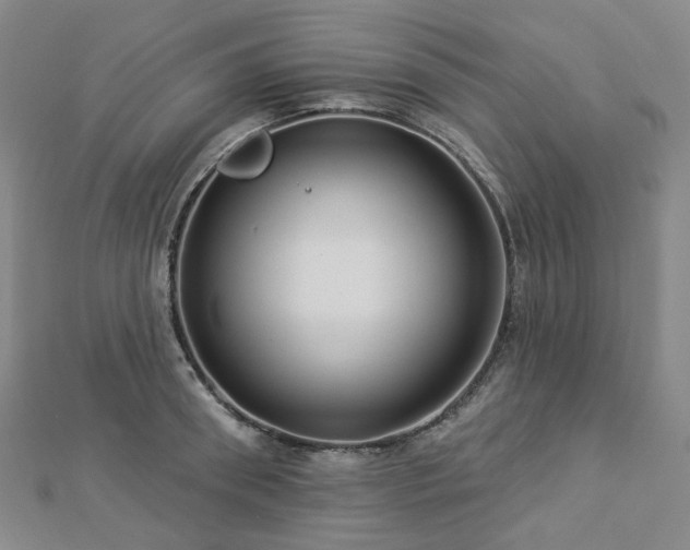 X0000112890898200908211451