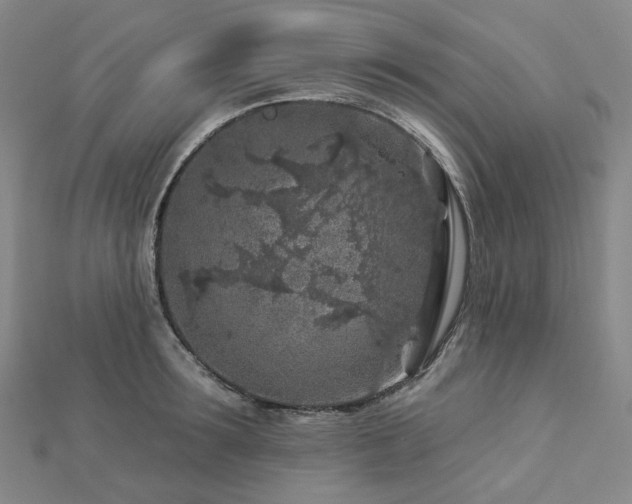 X0000112890899200908211451