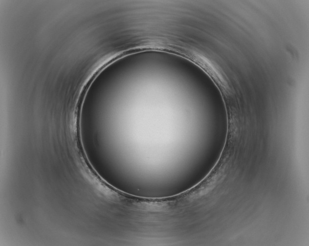 X0000112890900200908211451