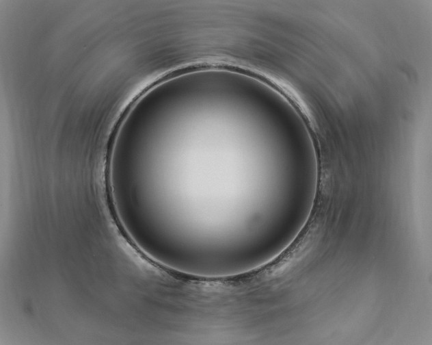 X0000112890903200908211451