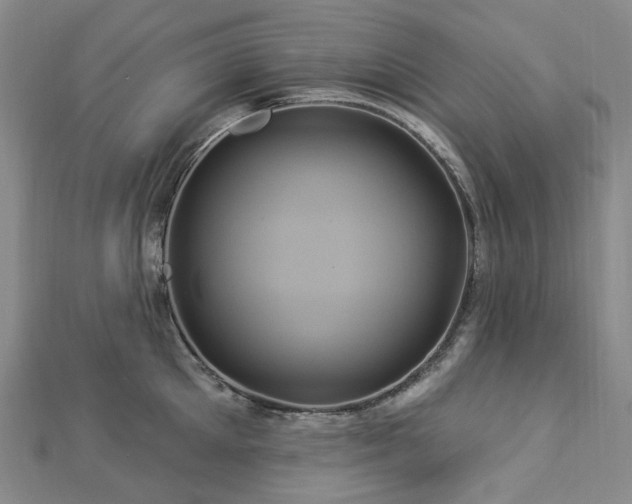 X0000112890905200908211451