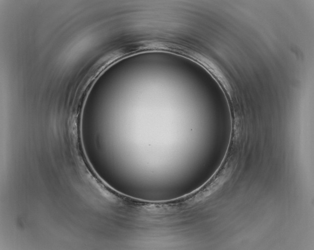 X0000112890906200908211451
