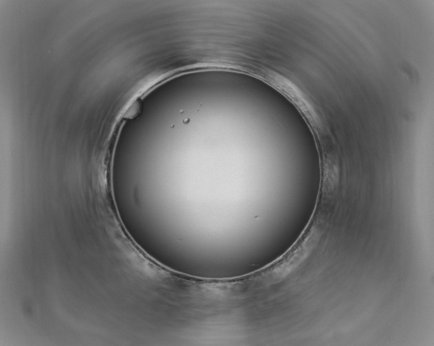X0000112890908200908211451